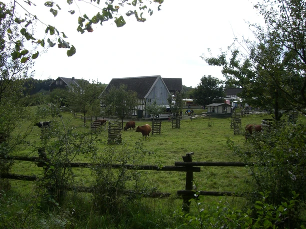 Bauernmarkt Das Bild zeigt eine grüne Weidelandschaft mit Kühen und einem traditionellen Fachwerkhaus.