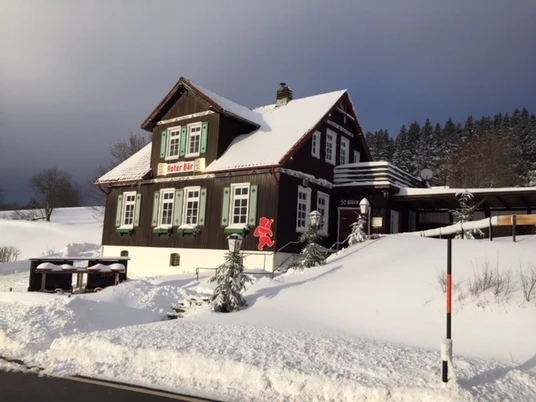 Roter Bär_2.jpg.jpeg