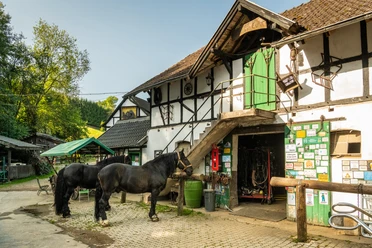 Gammersbacher Mühle Altes Fachwerkhaus mit Pferden im Hof, rustikaler Charme und Naturkulisse.