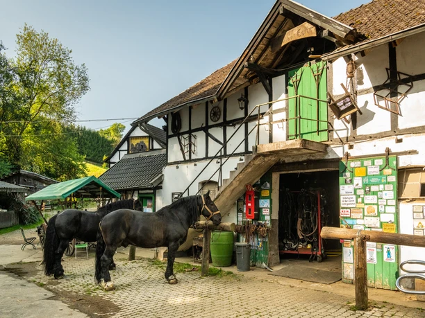 Gammersbacher Mühle Altes Fachwerkhaus mit Pferden im Hof, rustikaler Charme und Naturkulisse.