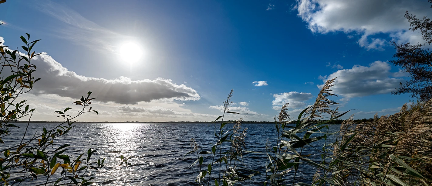 Wingst Balksee Sonnenreflexe glitzern auf dem Balksee, umgeben von Schilf und weitem Himmel über der Wingst.