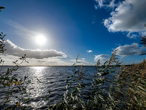 Wingst Balksee Sonnenreflexe glitzern auf dem Balksee, umgeben von Schilf und weitem Himmel über der Wingst.