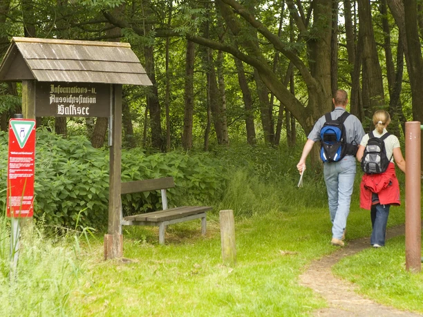 Wingst Balksee Zugang Zugang zum Balksee mit Infotafel, Bank und zwei Wandernden auf einem grasgesäumten Pfad.