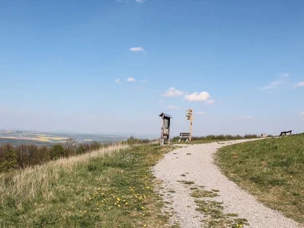 Aufstieg zum Köterberg Schotterweg führt durch grüne Wiesen mit Blick auf weitläufige Landschaft unter klarem Himmel.