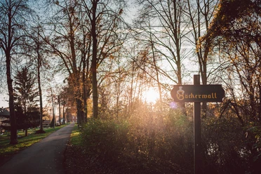 Een deel van de voormalige verdedigingswerken, de Bäckerwall, 's avonds bij zonsondergang.