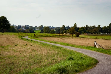 Aussichtspunkt Theegartener Kopf Aussichtspunkt Theegartener Kopf