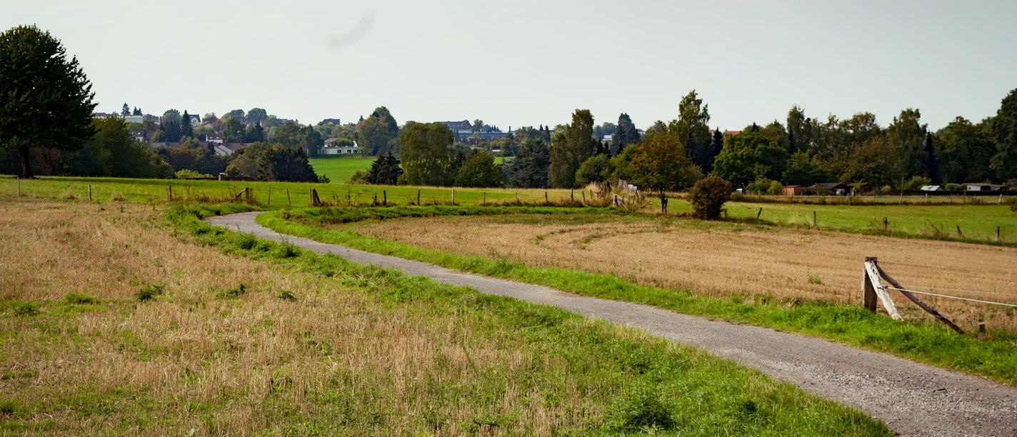 Aussichtspunkt Theegartener Kopf Aussichtspunkt Theegartener Kopf