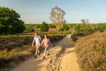 Wahner Heide <p>Ein Paar wandert auf einem sandigen Pfad durch die Heidelandschaft unter blauem Himmel.</p>