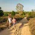 Wahner Heide <p>Ein Paar wandert auf einem sandigen Pfad durch die Heidelandschaft unter blauem Himmel.</p>