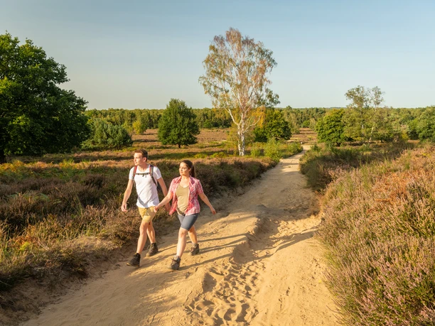 Wahner Heide <p>Ein Paar wandert auf einem sandigen Pfad durch die Heidelandschaft unter blauem Himmel.</p>
