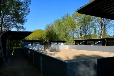 Ein eingezäunter Sandbereich unter freiem Himmel mit mehreren überdachten Pferdeboxen im Hintergrund.