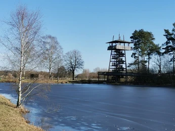Aussichtsturm im Parkteil Mitte Ein hölzerner Aussichtsturm steht am Ufer eines teils gefrorenen Sees, umgeben von Bäumen.
