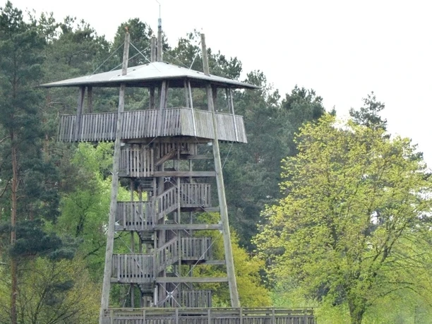 Holzturm mit Wendeltreppe steht auf grüner Wiese, von Wald umgeben, mit hellem Himmel.