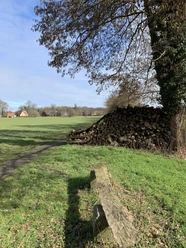 Holzstapel neben einem Feldweg mit Baum in einer ländlichen Landschaft, grasbewachsener Pfad.