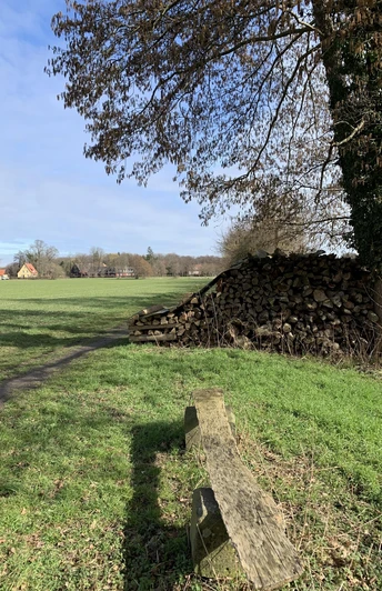 Holzstapel neben einem Feldweg mit Baum in einer ländlichen Landschaft, grasbewachsener Pfad.