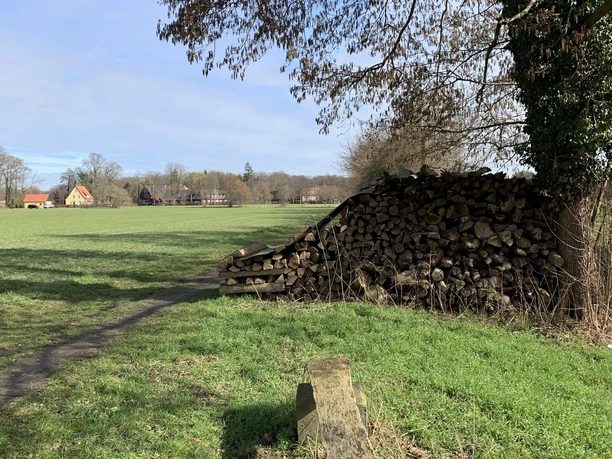 Holzstapel neben einem Feldweg mit Baum in einer ländlichen Landschaft, grasbewachsener Pfad.