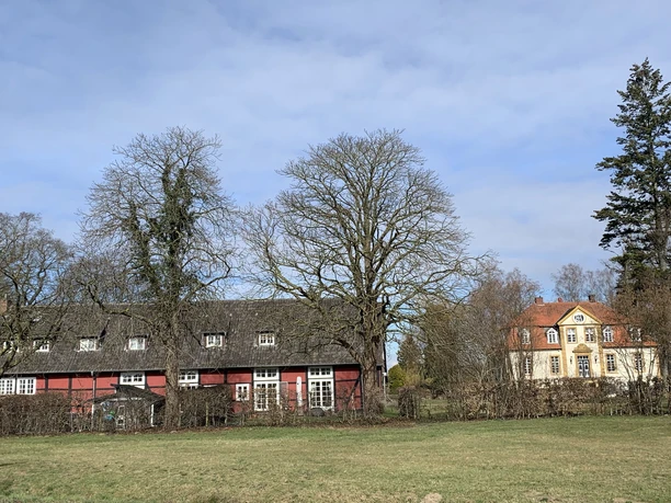 Haus Bosfeld Zwei historische Gebäude in ländlicher Umgebung, umgeben von Wiesen und Bäumen unter blauem Himmel.