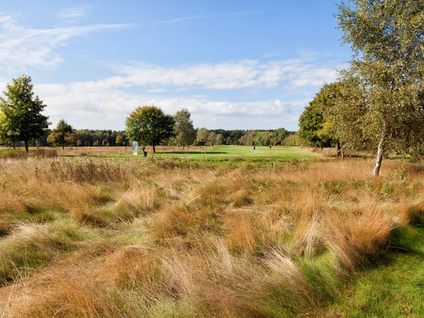 Green area on the grounds of the Bokensdorf golf course at Wolfsburg Golf Club
