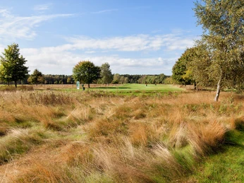 CC0 - Golfclub Bokensdorf6 .jpg Grünfläche auf dem Gelände der Golfsportanlage Bokensdorf vom Golfclub WolfsburgGreen area on the grounds of the Bokensdorf golf course at Wolfsburg Golf ClubGrønt område på Bokensdorf golfbane i Wolfsburg Golf ClubGroene zone op het terrein van de Bokensdorf-golfbaan van de Wolfsburg Golf Club