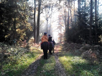 Dennhornshof Waldausritt.jpg Dennhorshof Sprakensehl-Hagen Ausritt