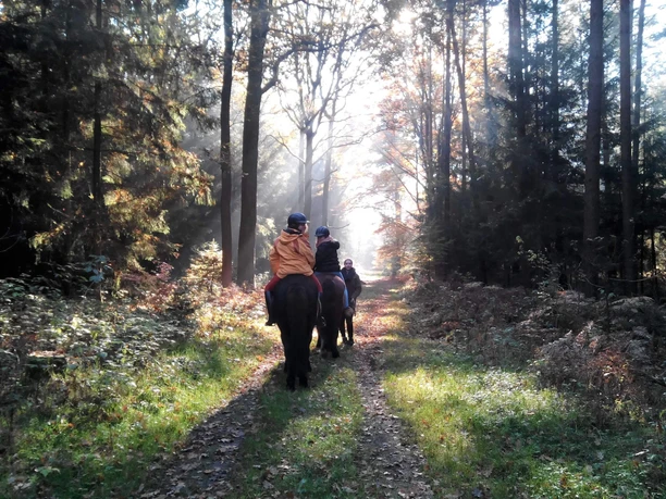 Dennhornshof Waldausritt.jpg Dennhorshof Sprakensehl-Hagen Ausritt