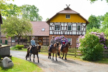 Dennhornshof Ausritt.jpg Dennhorshof Sprakensehl-Hagen Ausritt