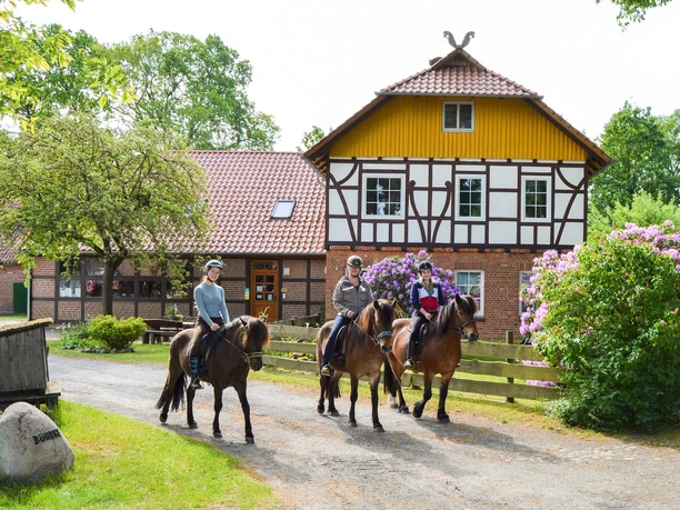 Dennhornshof Ausritt.jpg Dennhorshof Sprakensehl-Hagen Ausritt