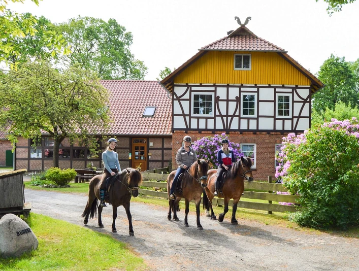 Dennhornshof Ausritt.jpg Dennhorshof Sprakensehl-Hagen Ausritt