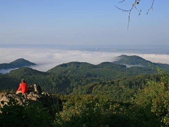 drachenfels-oelbergblick.jpg