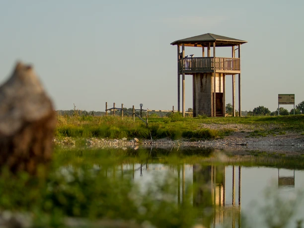 Vogelbeobachtungsturm am Mooswaldsee.