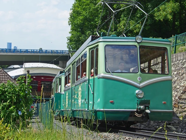 OLYMPUS DIGITAL CAMERA OLYMPUS DIGITAL CAMERA