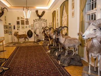 Museum für Naturkunde und Jagdkultur mit Ausstellungstiere, im Wasserschloss Heerse.