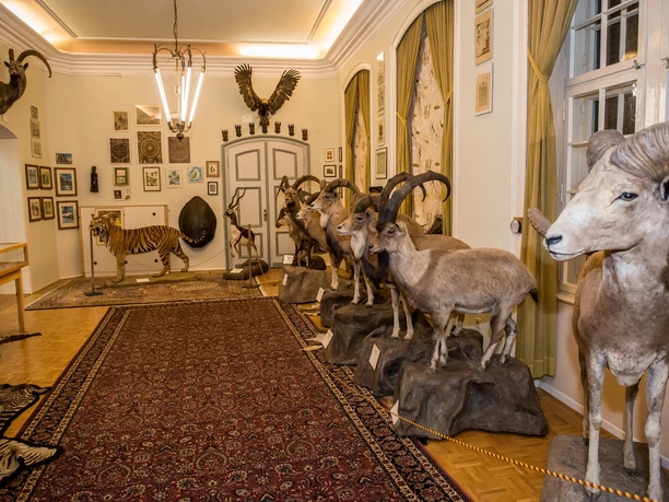 Museum für Naturkunde und Jagdkultur mit Ausstellungstiere, im Wasserschloss Heerse.