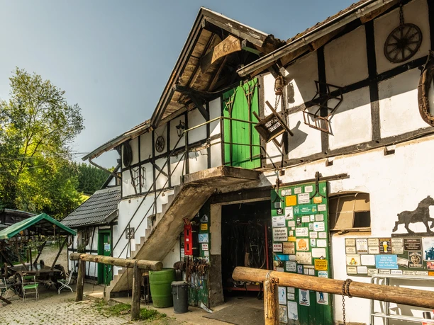 Gammersbacher Mühle Ein historisches Fachwerkgebäude mit grüner Tür, Holzdetails und umgeben von Bäumen bei Sonnenschein.