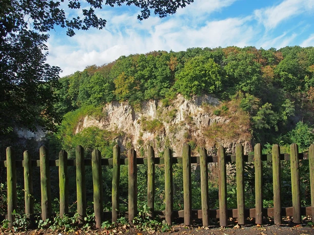 weilberg_geologie.jpg weilberg_geologie.jpg