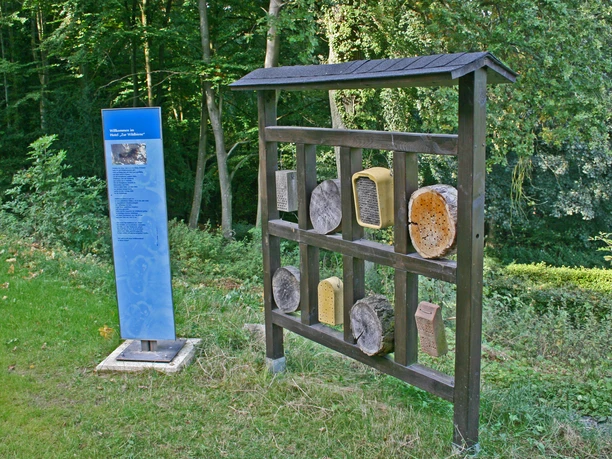 naturparkhaus_baumsaeule.jpg