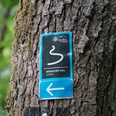 Wegezeichen Zuweg Bergischer Weg Wegweiser am Baum: Schild zeigt Richtung für Wanderer auf dem Bergischen Weg, Zuweg markiert.