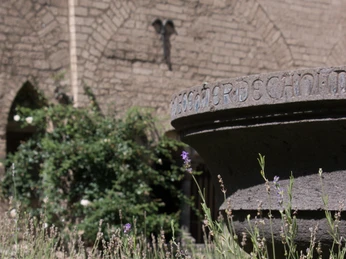 Blick in das römische Atrium des Bonner Münsters Im Kreuzgangs des Bonner Münsters befindet sich ein römische Atrium (ein Innenhof).