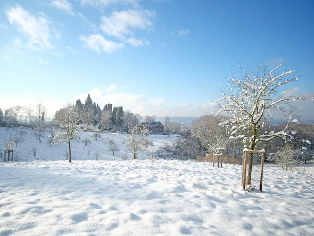 schloss_schneewiese.jpg