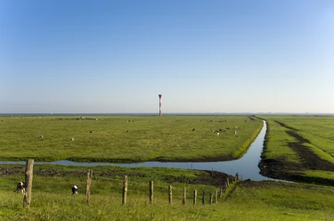 Deichvorland und Leuchtfeuer