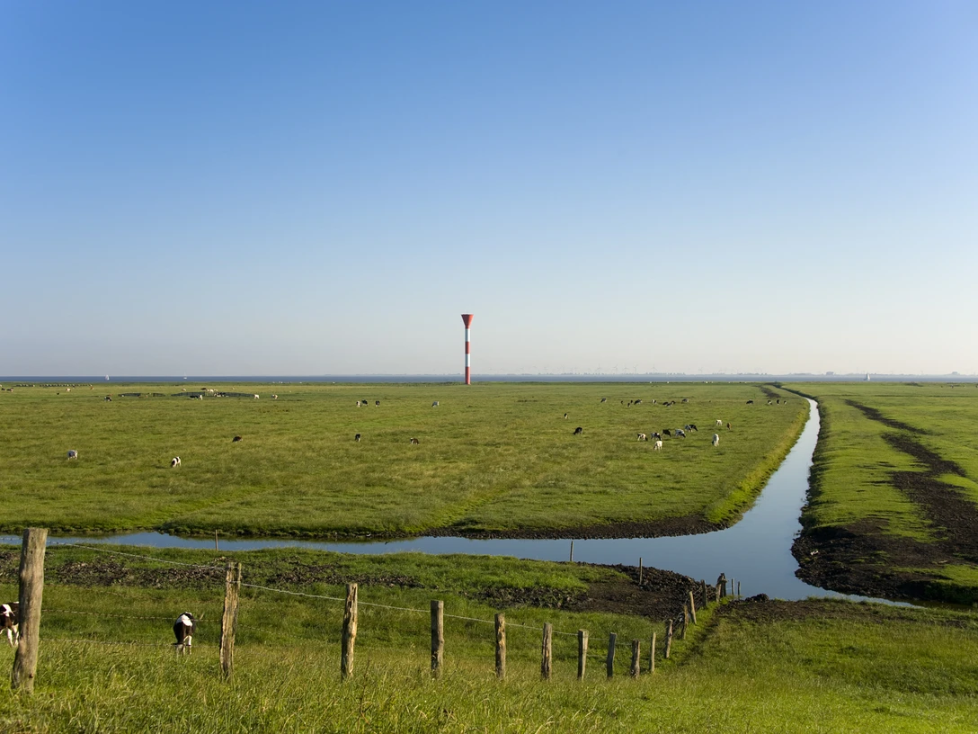 Deichvorland und Leuchtfeuer