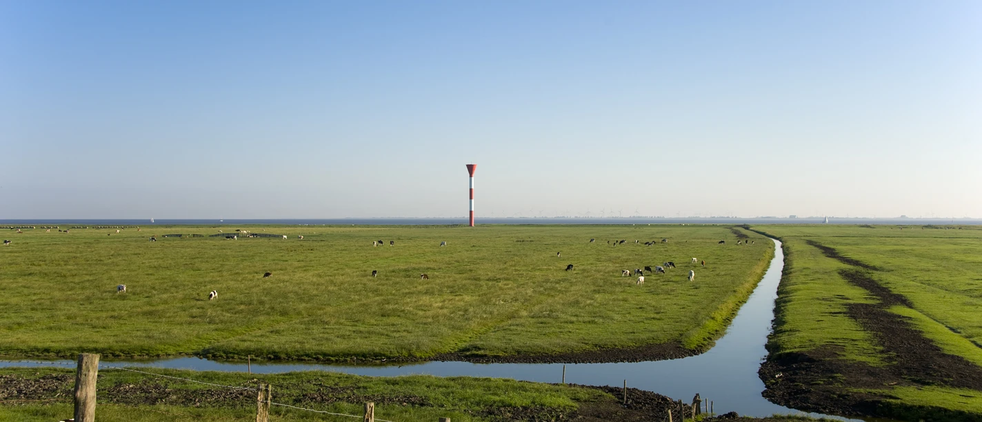 Deichvorland und Leuchtfeuer