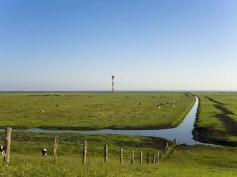 Deichvorland und Leuchtfeuer