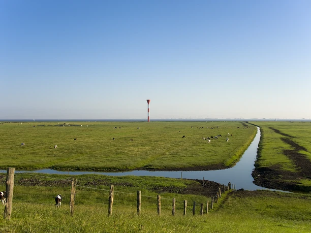 Deichvorland und Leuchtfeuer