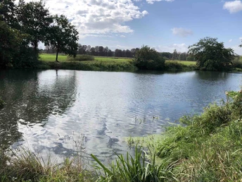 Die idyllische Aller in Celle Die idyllische Aller in CelleThe idyllic Aller in Celle