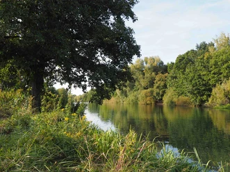 Ein Wanderweg direkt am Allerufer Ein Wanderweg direkt am Allerufer