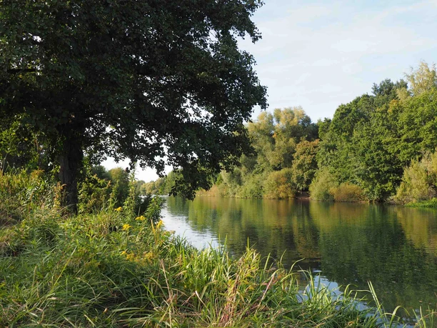 Ein Wanderweg direkt am Allerufer Ein Wanderweg direkt am Allerufer