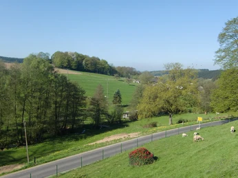 CIMG5613.JPG Landschaftsbild mit grünen Hügeln, Schafen auf einer Weide und einer Straße im Vordergrund.
