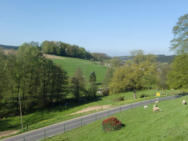 CIMG5613.JPG Landschaftsbild mit grünen Hügeln, Schafen auf einer Weide und einer Straße im Vordergrund.