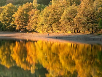 Lingese-Talsperre Spaziergänger an einem Herbstsee, gesäumt von goldgelben Bäumen, spiegelnd im ruhigen Wasser.
